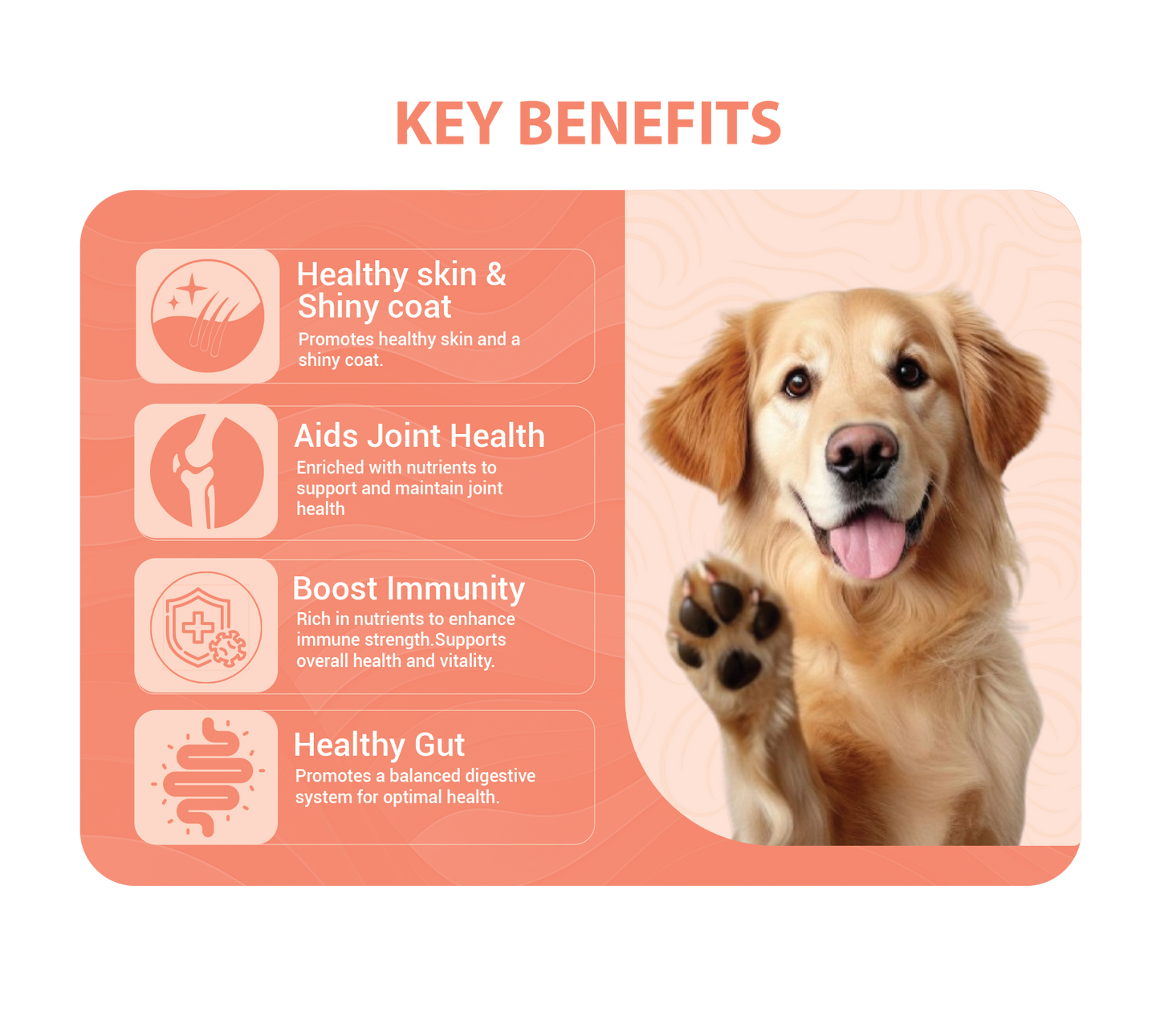 Atlantic Salmon Bone Broth For Dogs