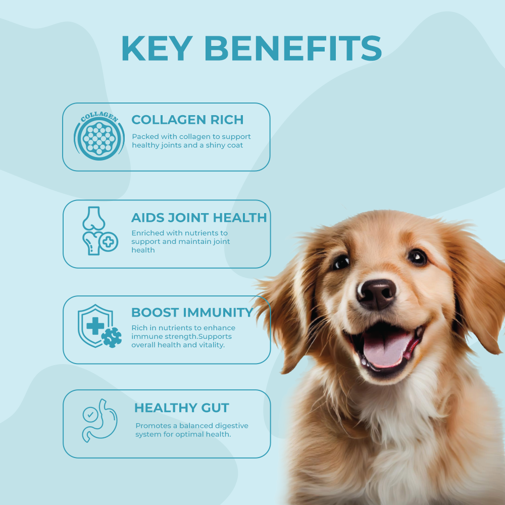 Natural Fish Bone Broth For Dogs