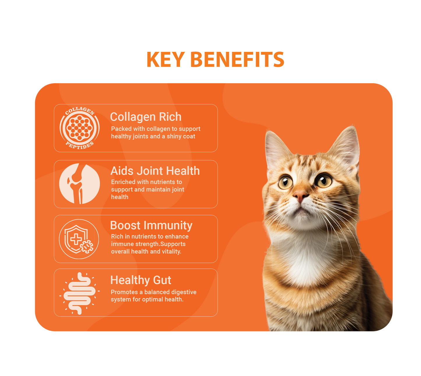 Natural Chicken Bone Broth For Cats 100g