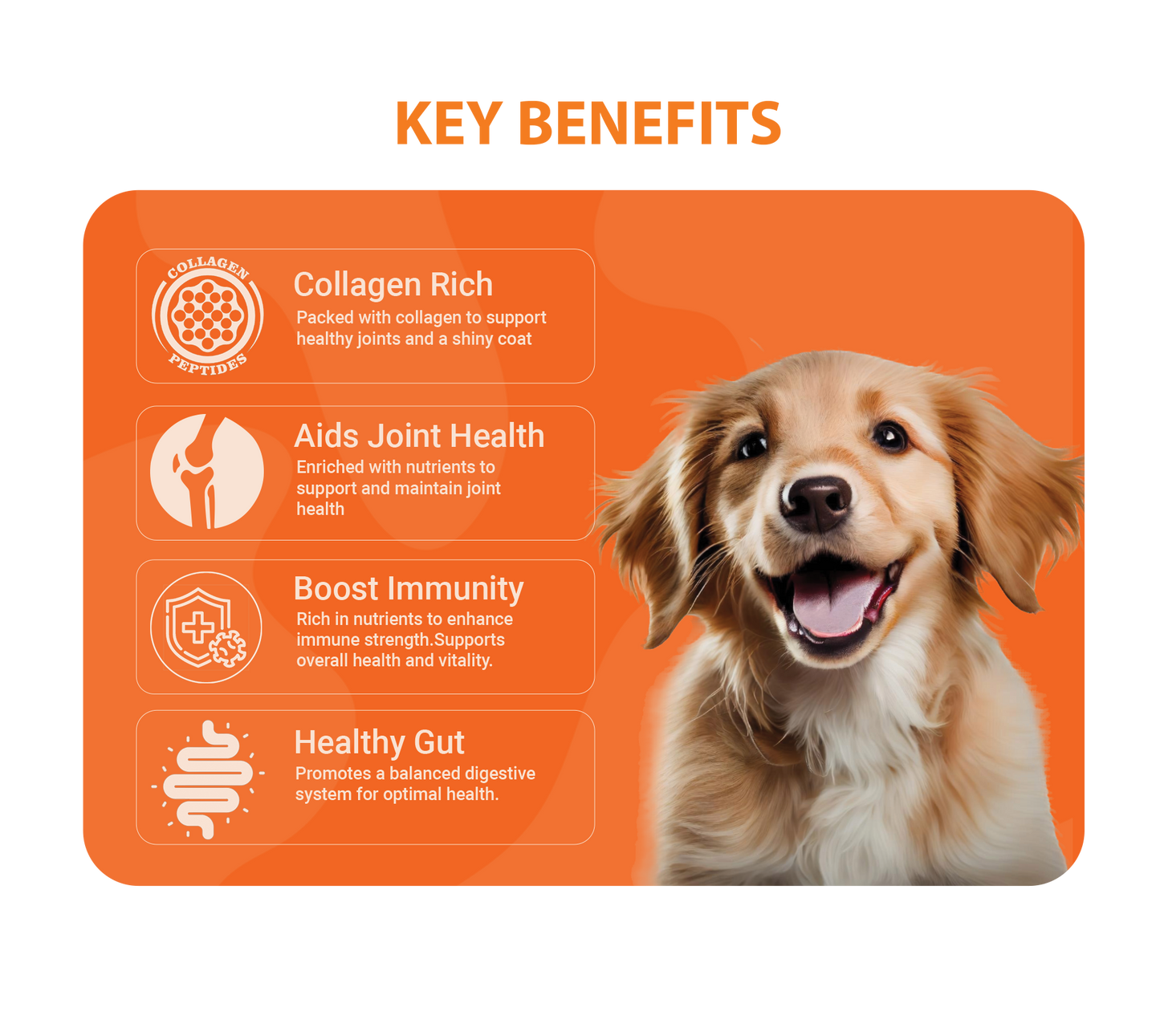 Natural Chicken Bone Broth For Dogs 100g