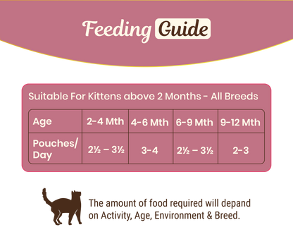 Oh My Cat - Chicken in Gravy (Kitten)