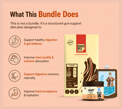 Gut Wellness & Recovery Diet For Dogs
