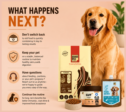 Gut Wellness & Recovery Diet For Dogs