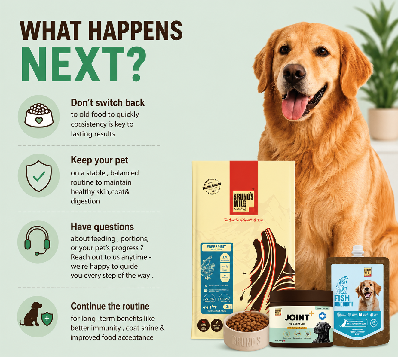 Joint Support & Recovery Diet for Dogs