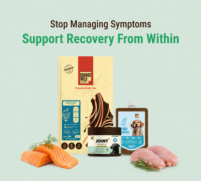 Joint Support & Recovery Diet for Dogs