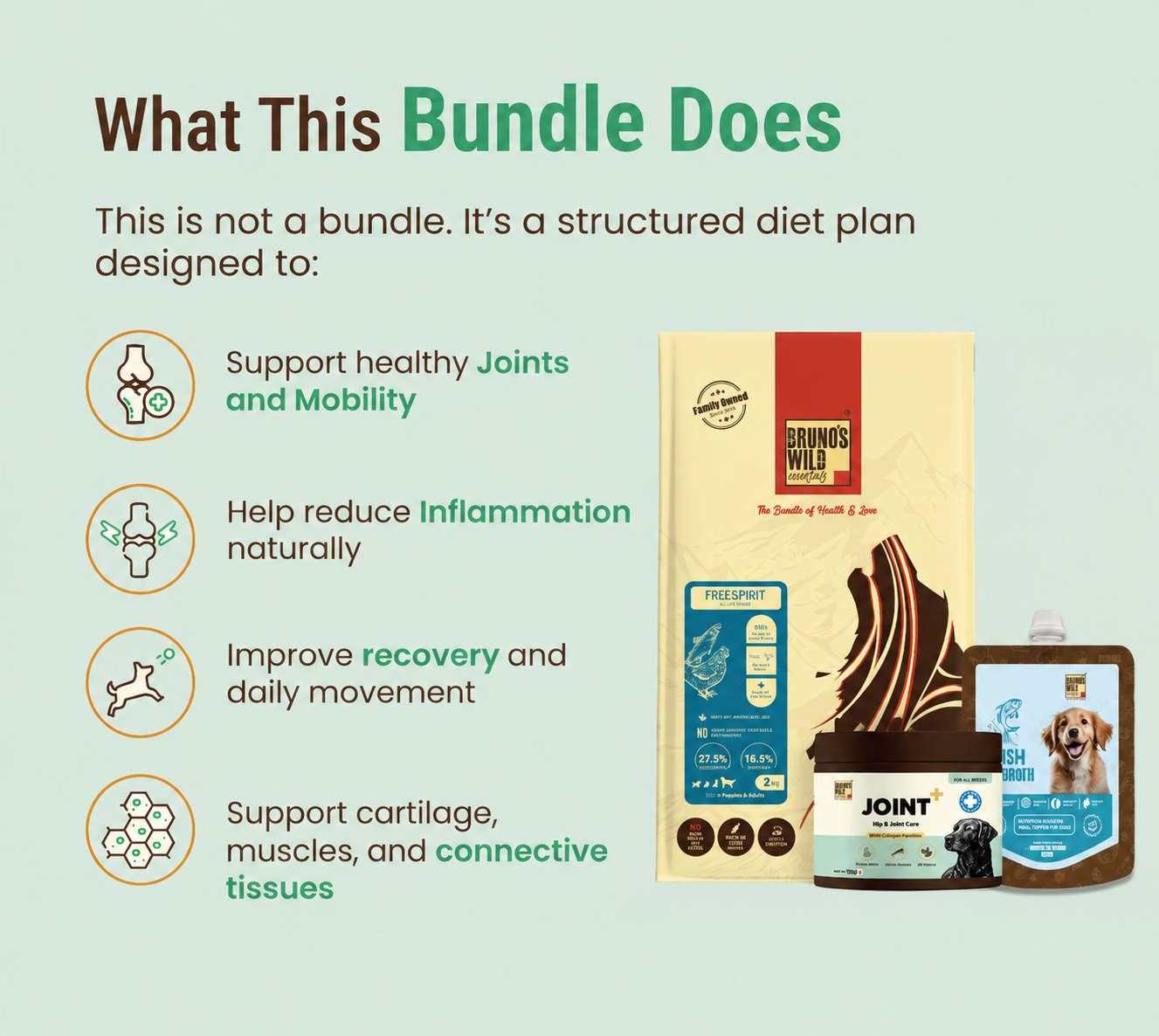 Joint Support & Recovery Diet for Dogs
