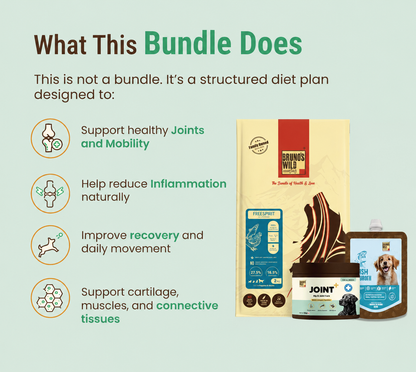 Joint Support & Recovery Diet for Dogs