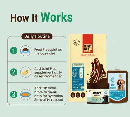 Joint Support & Recovery Diet for Dogs