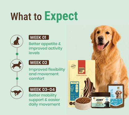 Joint Support & Recovery Diet for Dogs