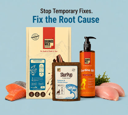 Skin & Coat Recovery Diet for Dogs