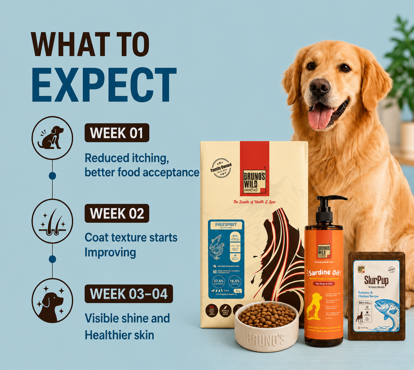 Skin & Coat Recovery Diet for Dogs
