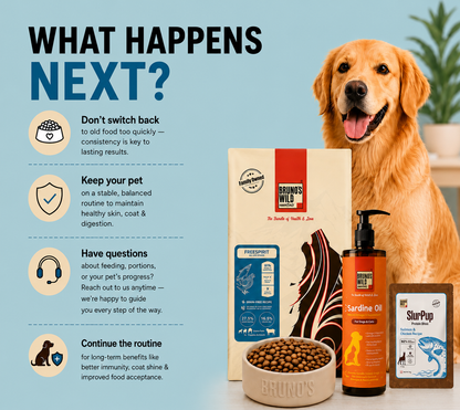 Skin & Coat Recovery Diet for Dogs