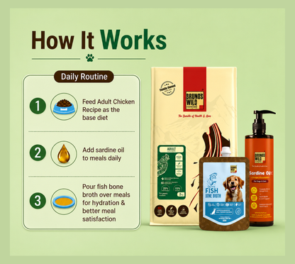 Weight Management Diet For Dogs