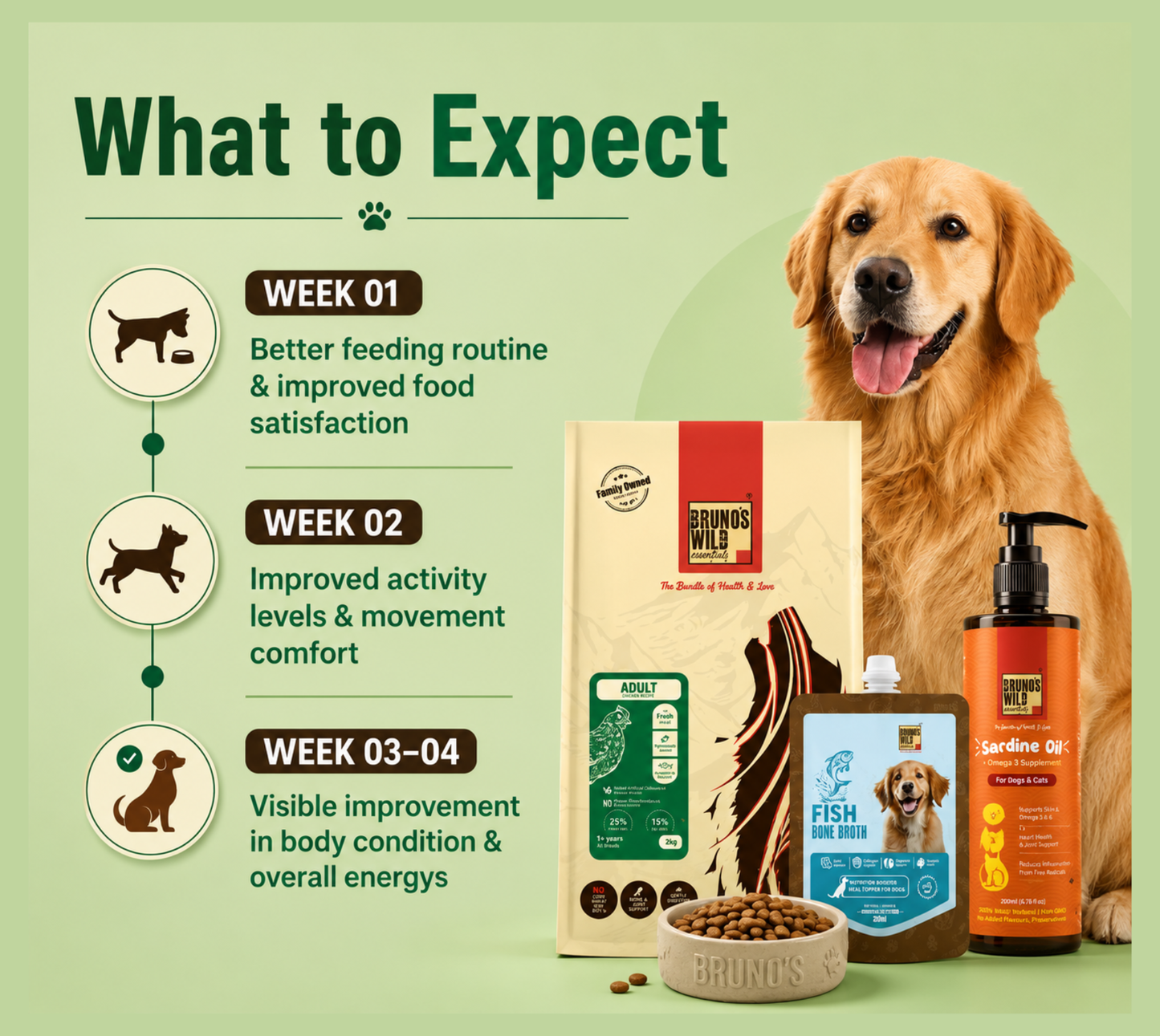 Weight Management Diet For Dogs