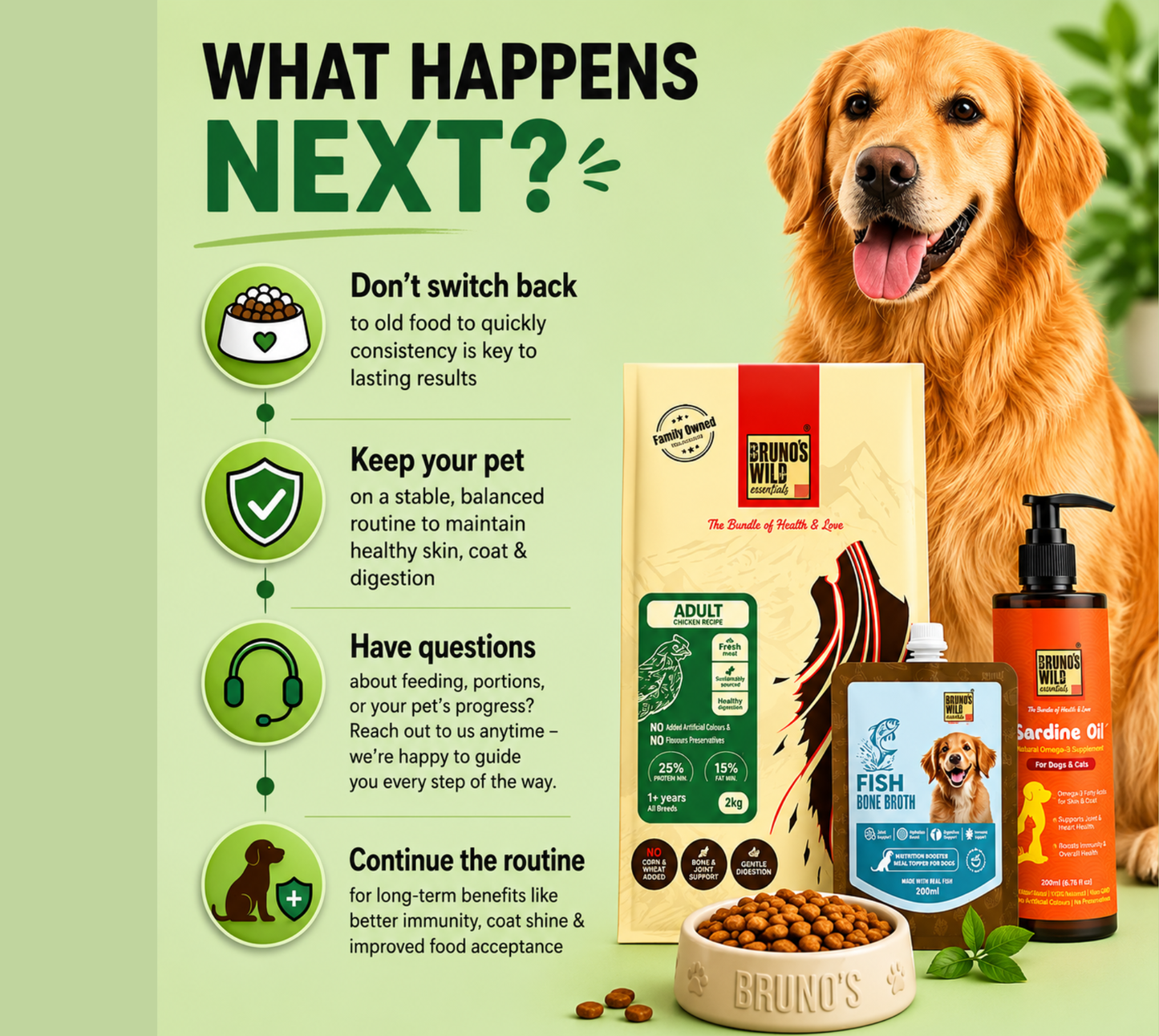 Weight Management Diet For Dogs