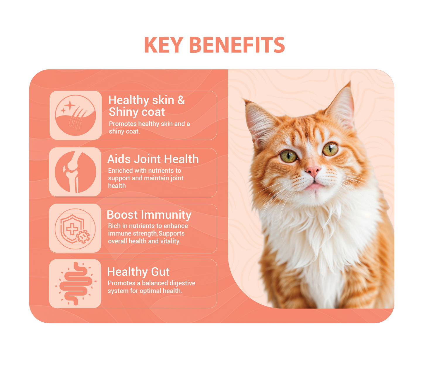 Atlantic Salmon Bone Broth For Cats 100g