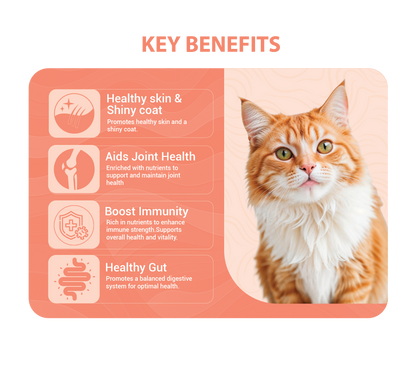 Atlantic Salmon Bone Broth For Cats 100g