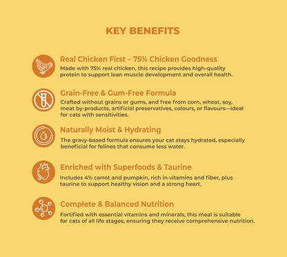 Chicken With Carrot & Pumpkin 85G