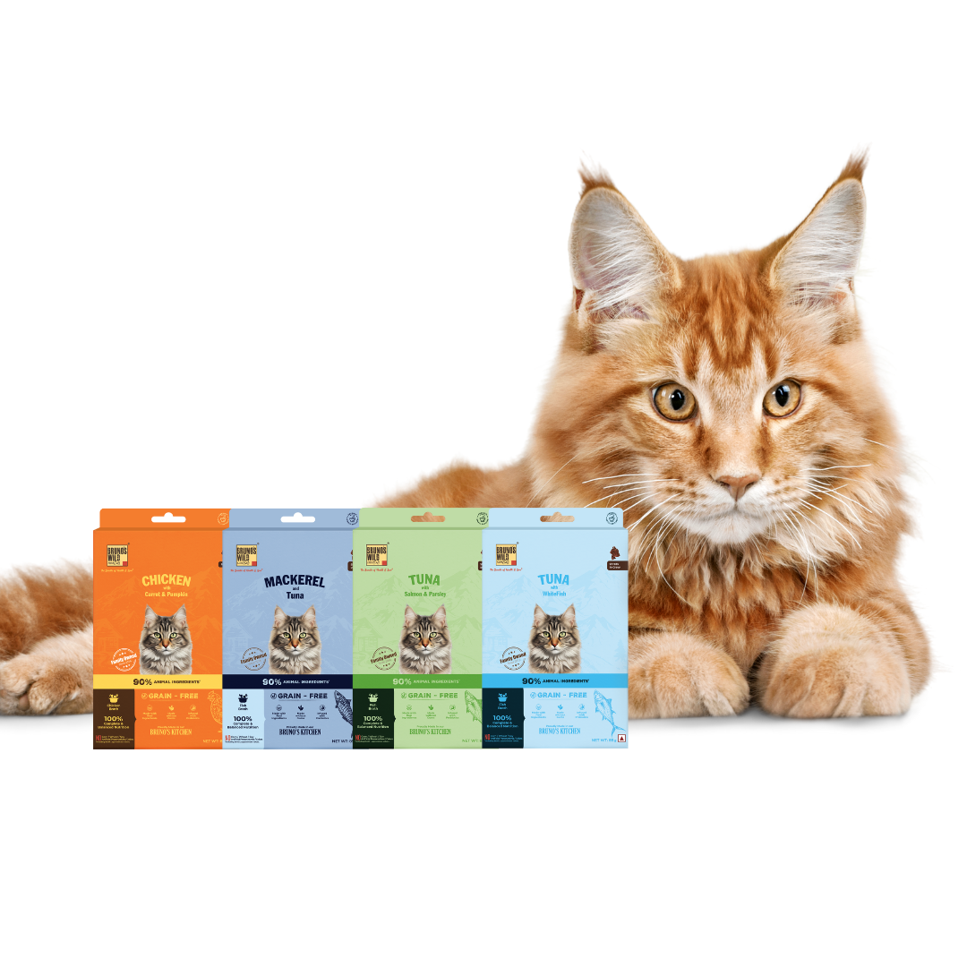 Cat Taster Bundle