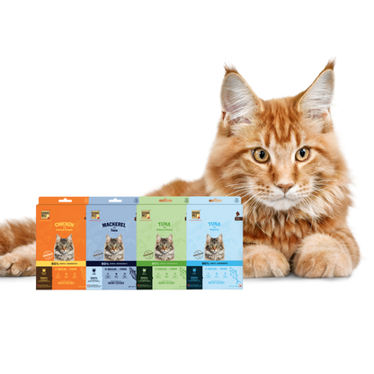 Cat Taster Bundle