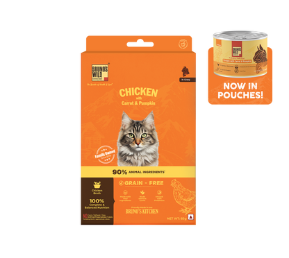 Cat Taster Bundle