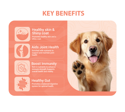 Atlantic Salmon Bone Broth For Dogs 100g