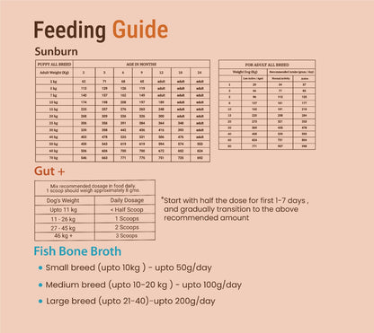 Gut Wellness & Recovery Diet For Dogs