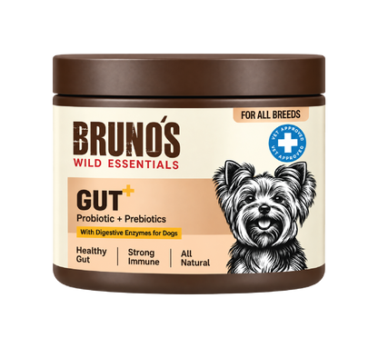 GUT+ Probiotic & Prebiotics