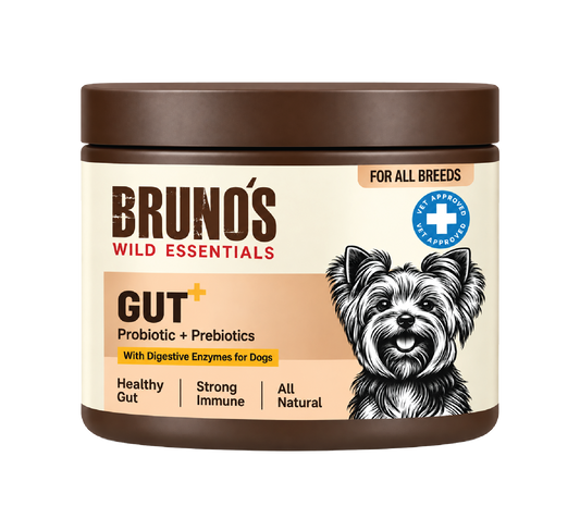 GUT+ Probiotic & Prebiotics