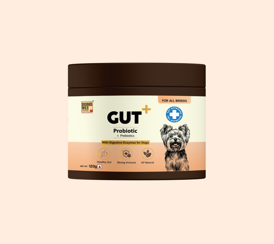 GUT+ Probiotic & Prebiotics