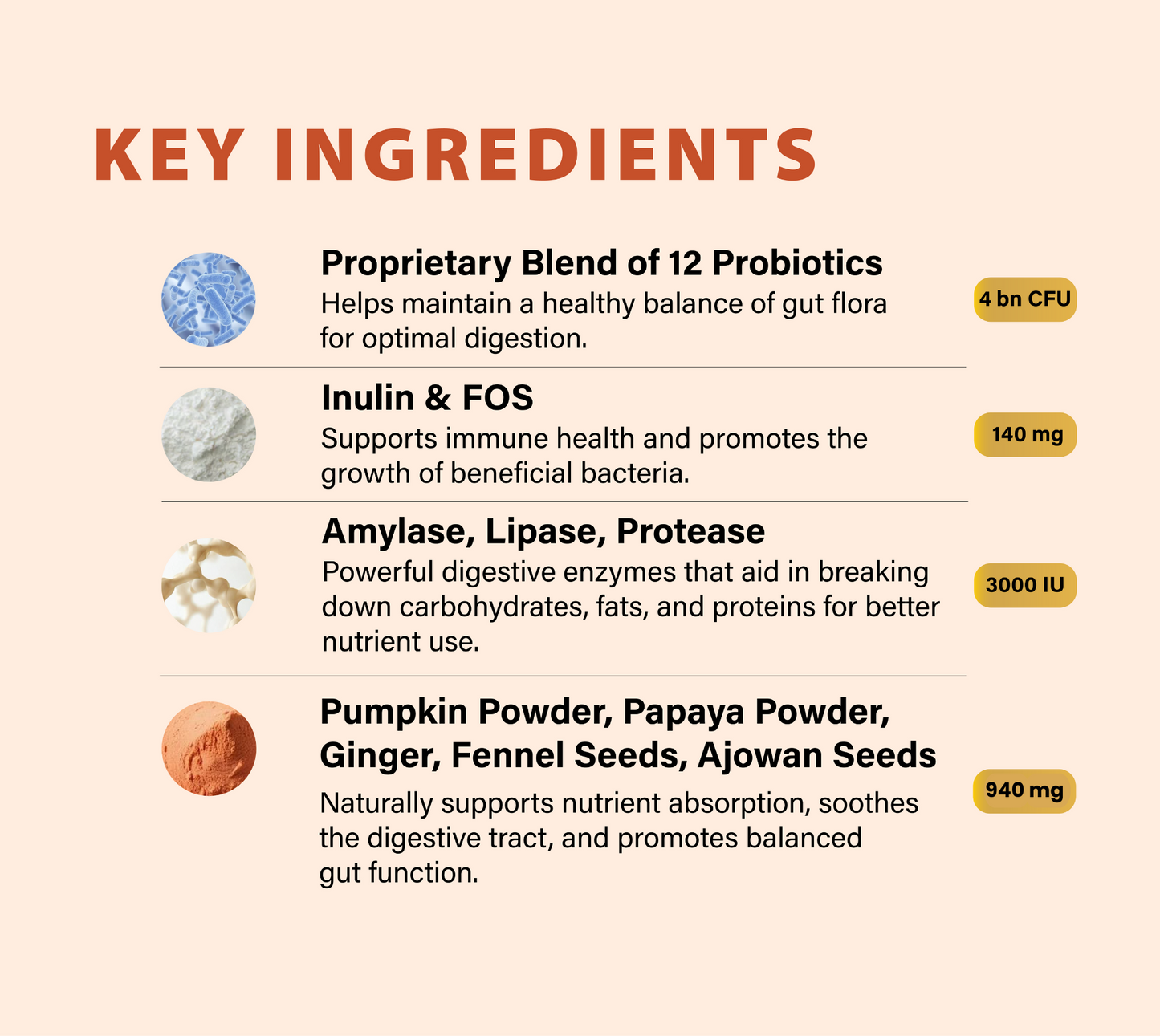 GUT+ Probiotic & Prebiotics