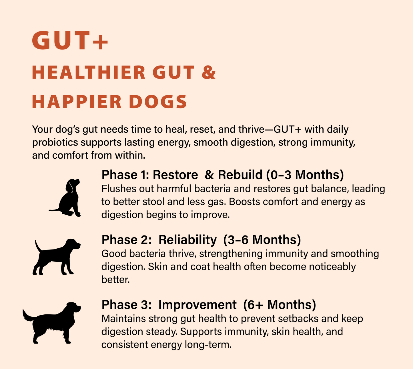 GUT+ Probiotic & Prebiotics