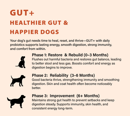GUT+ Probiotic & Prebiotics