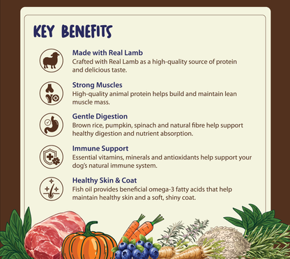 HomeStyle Meals Lamb & Brown Rice for Dogs