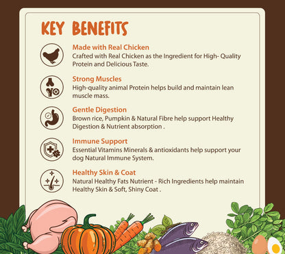 HomeStyle Chicken & Brown Rice for Dogs