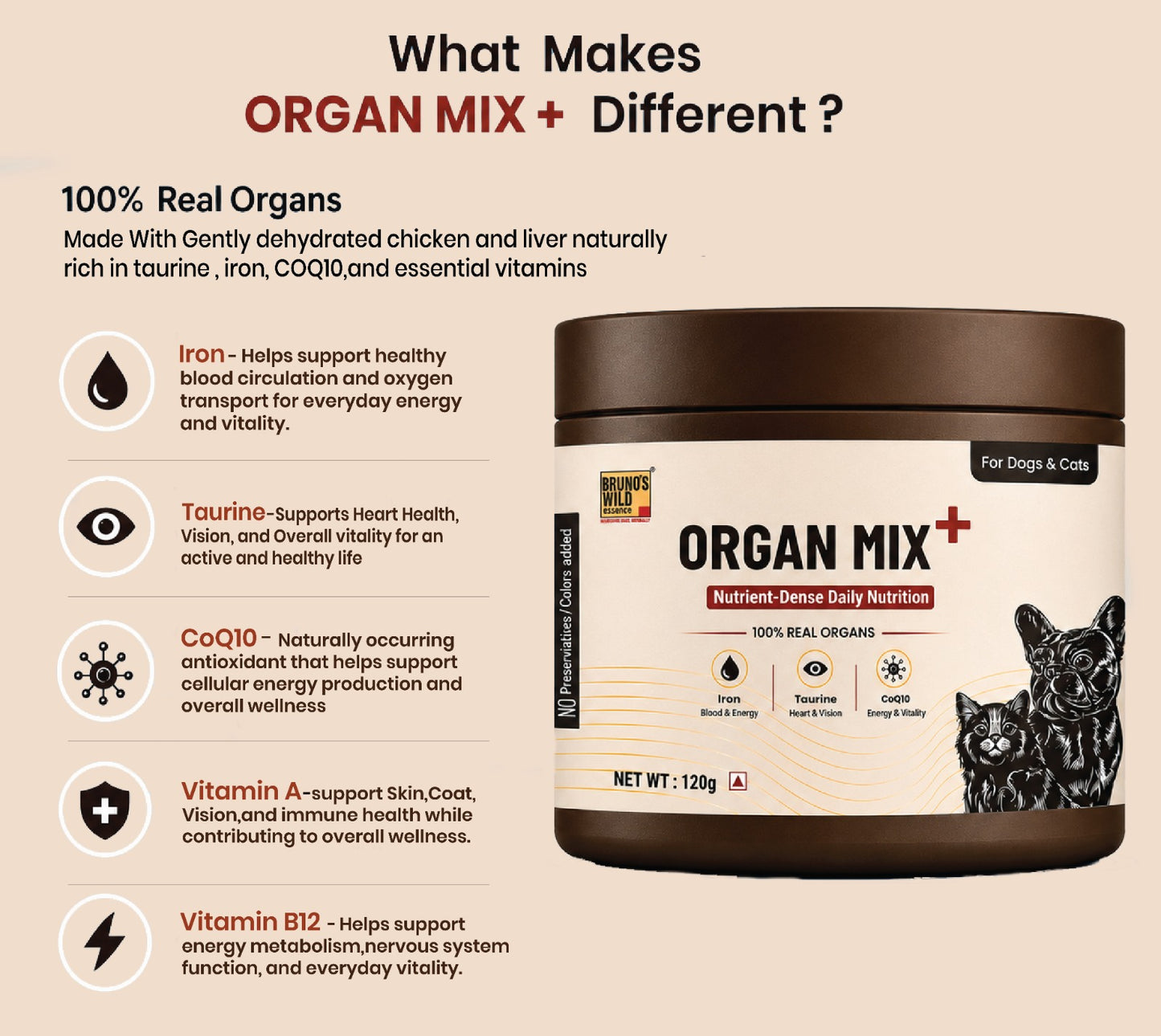 ORGAN MIX+