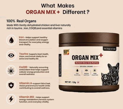 ORGAN MIX+