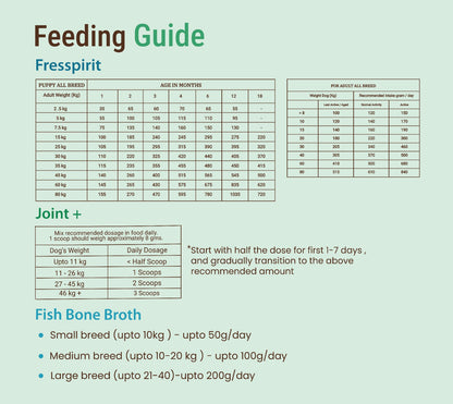 Joint Support & Recovery Diet for Dogs