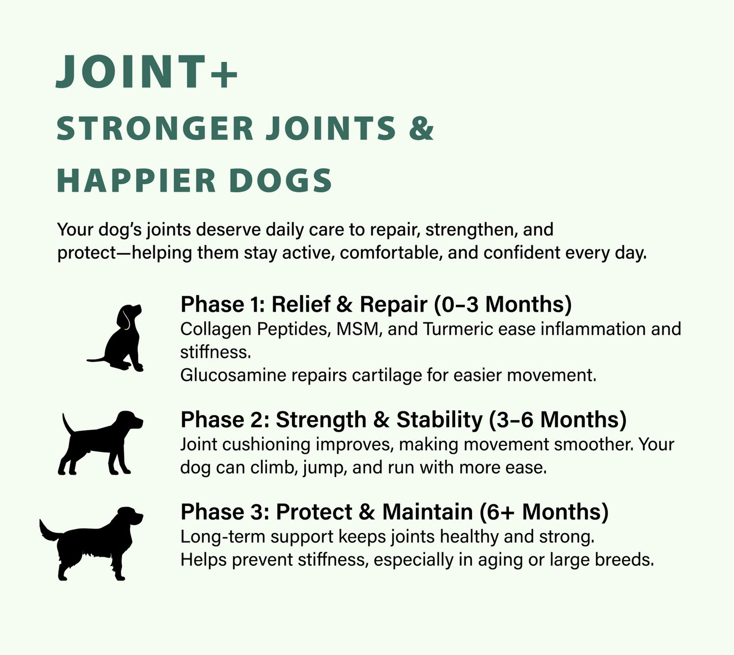 Joint+ Hip & Joint Care