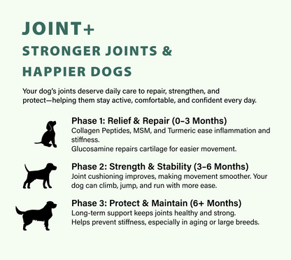 Joint+ Hip & Joint Care