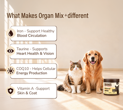 ORGAN MIX+