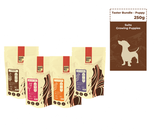 Taster Bundle (Puppy)