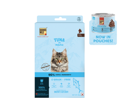 Cat Taster Bundle