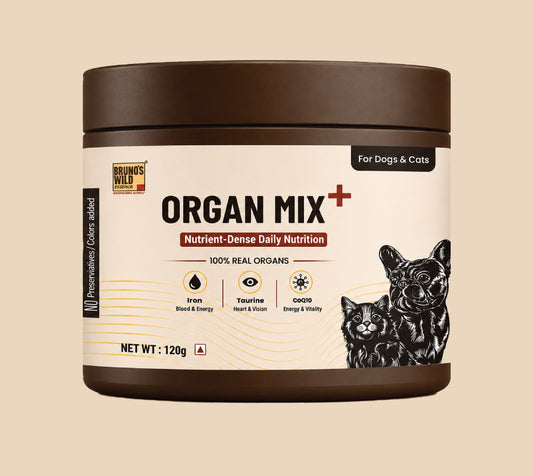 ORGAN MIX+