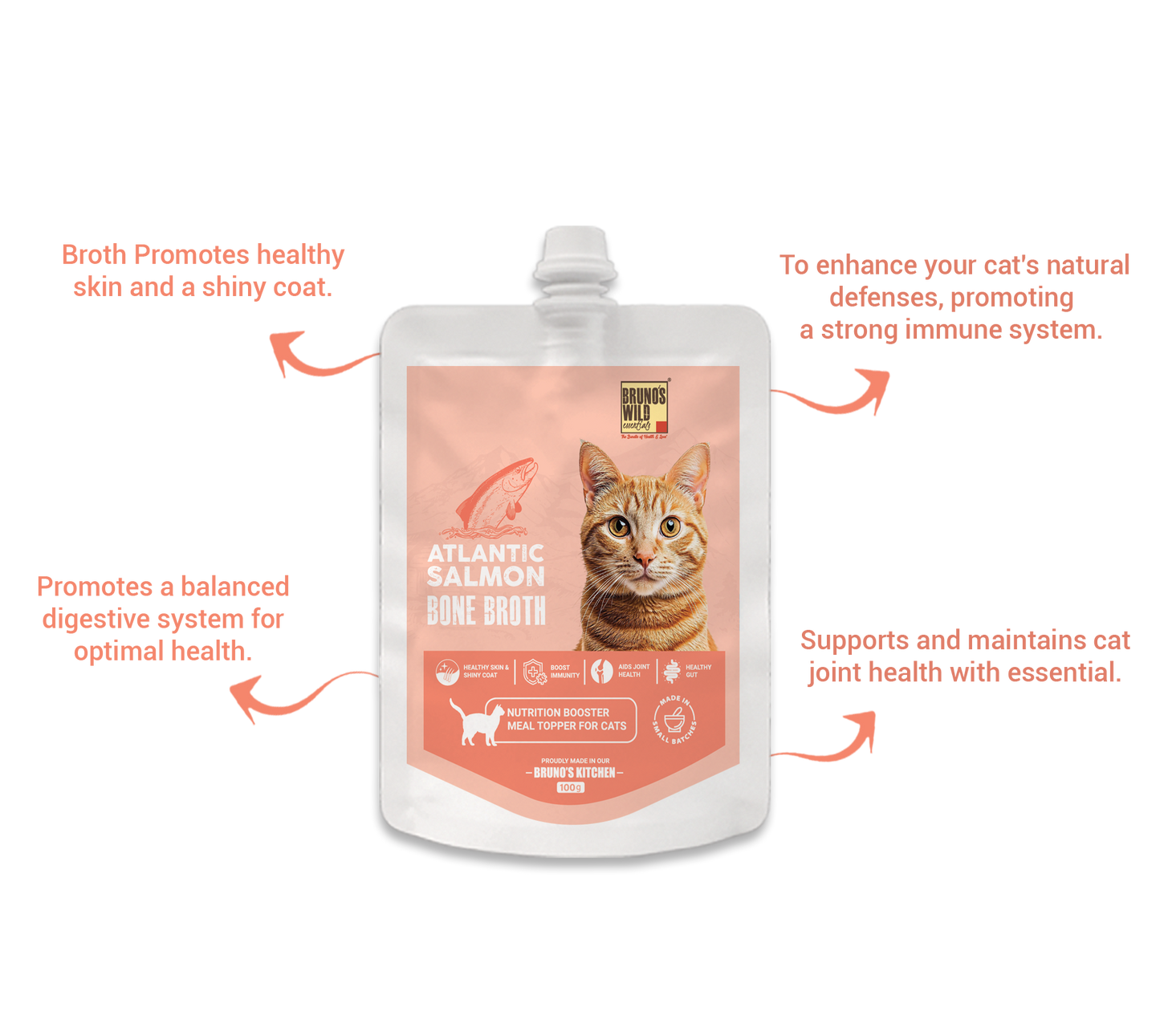 Atlantic Salmon Bone Broth For Cats 100g