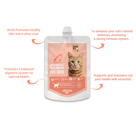 Atlantic Salmon Bone Broth For Cats 100g