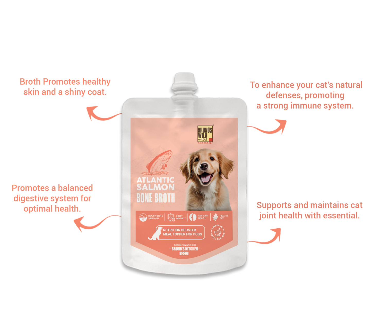 Atlantic Salmon Bone Broth For Dogs 100g