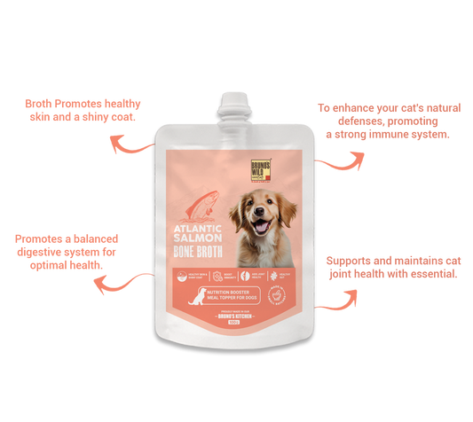 Atlantic Salmon Bone Broth For Dogs 100g