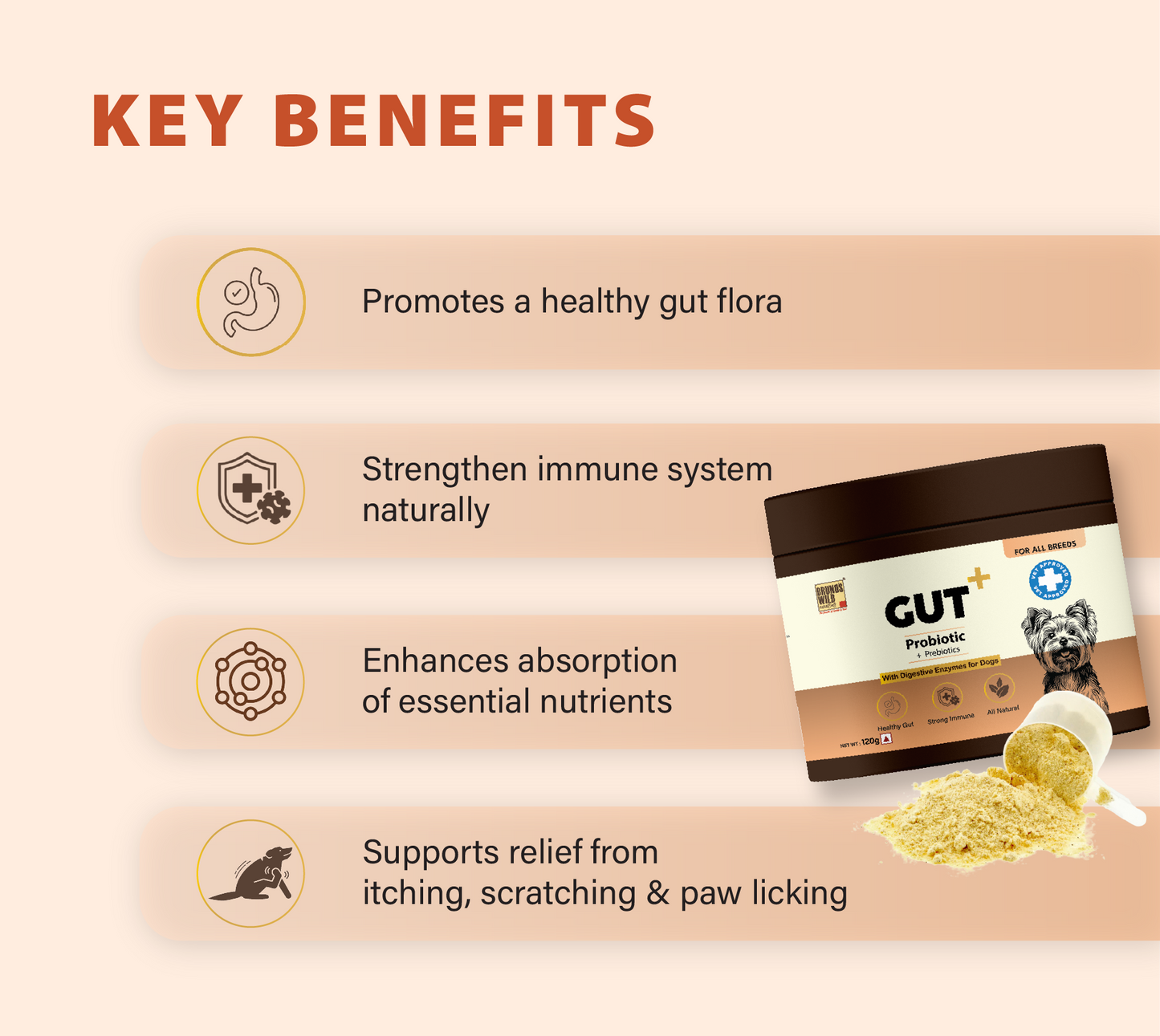GUT+ Probiotic & Prebiotics