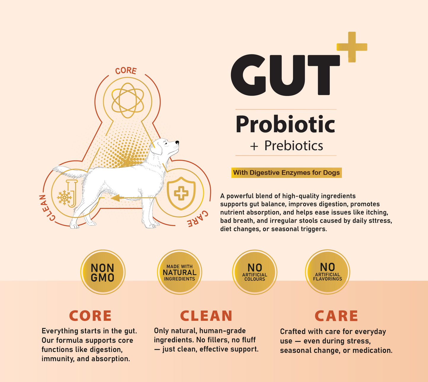 GUT+ Probiotic & Prebiotics